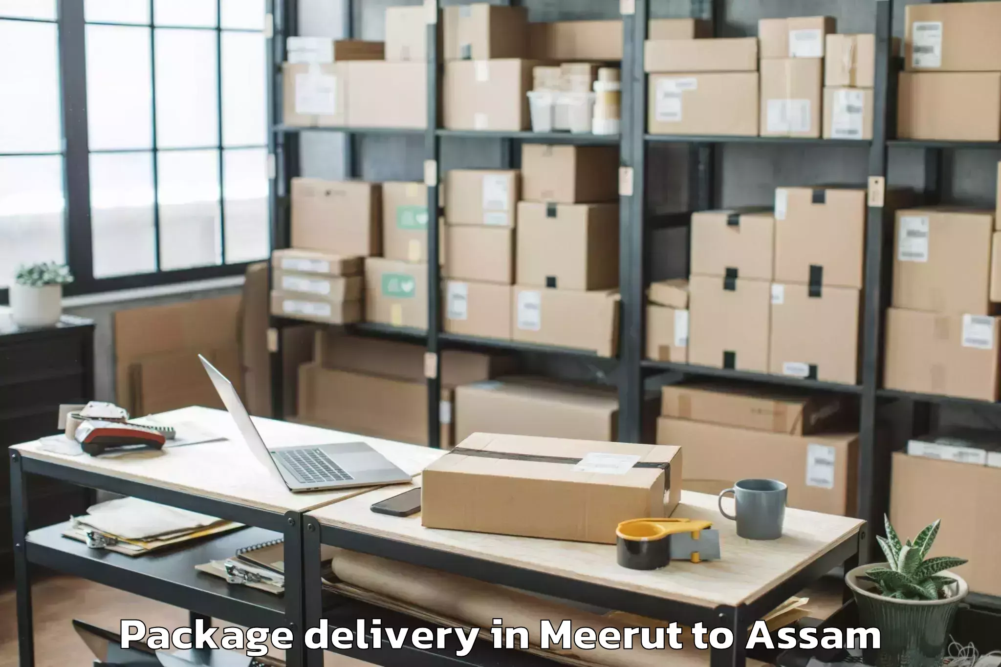 Meerut to Pandu Package Delivery Booking